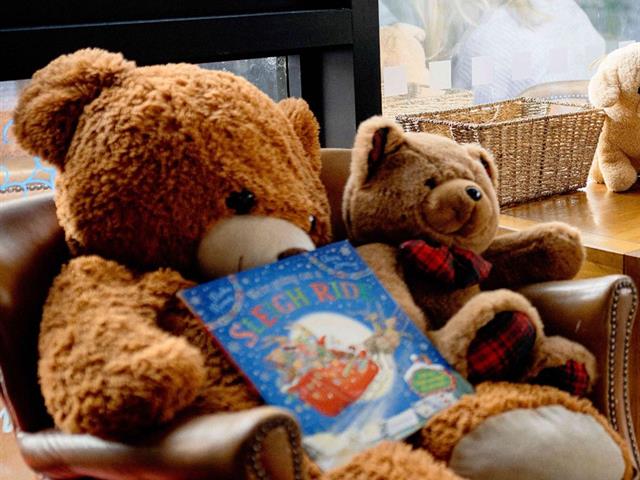 Teddy Bear’s Sleepover – The Reader