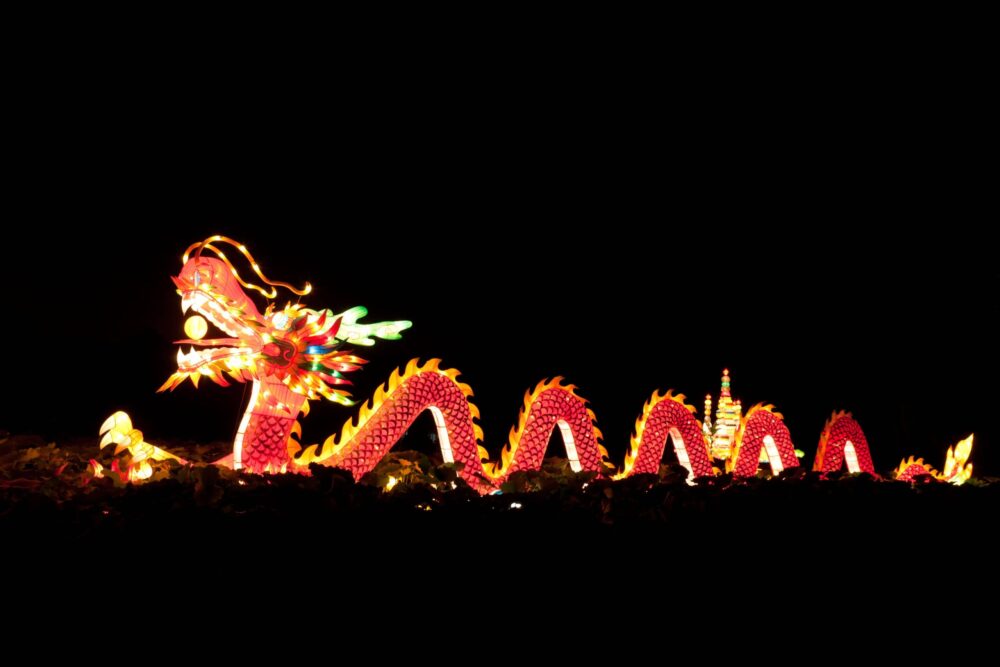 Lunar New Year What does the year of the dragon mean for you? The