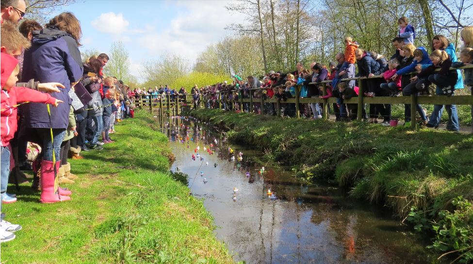 The Annual Duck Race at WWT Martin Mere