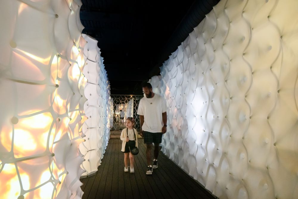 A dad and daughter walk through the hive ©Mark Hadden photography