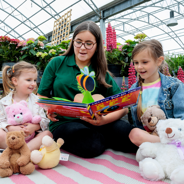 Teddy Bears Picnic - Dobbies - The Guide Liverpool Calendar