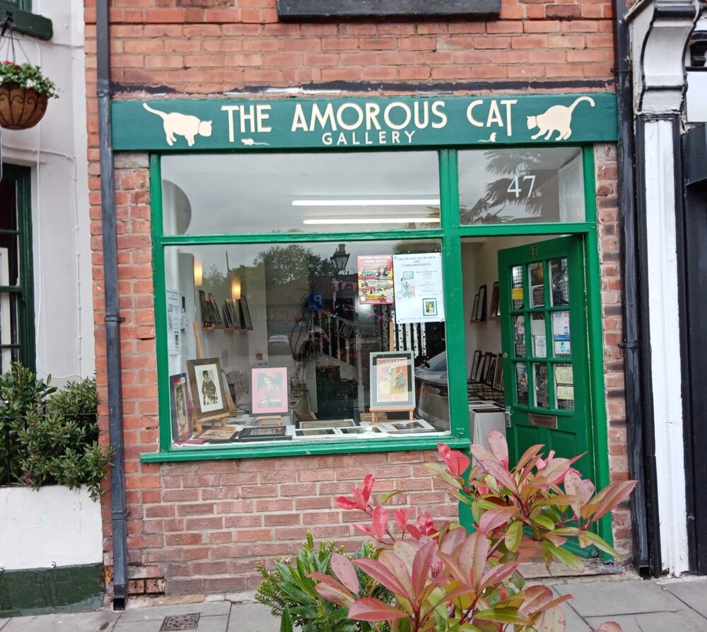 The Amarous Cat