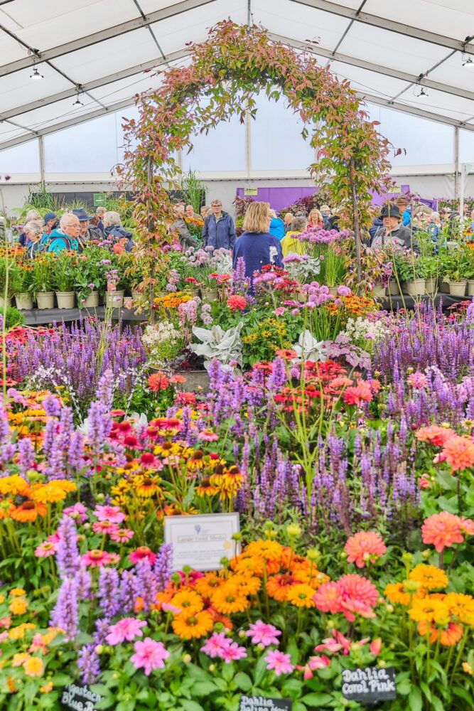 Southport Flower Show