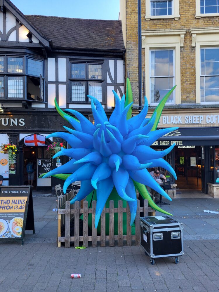 Gigantic Flowers for Southport Flower Show Celebrations