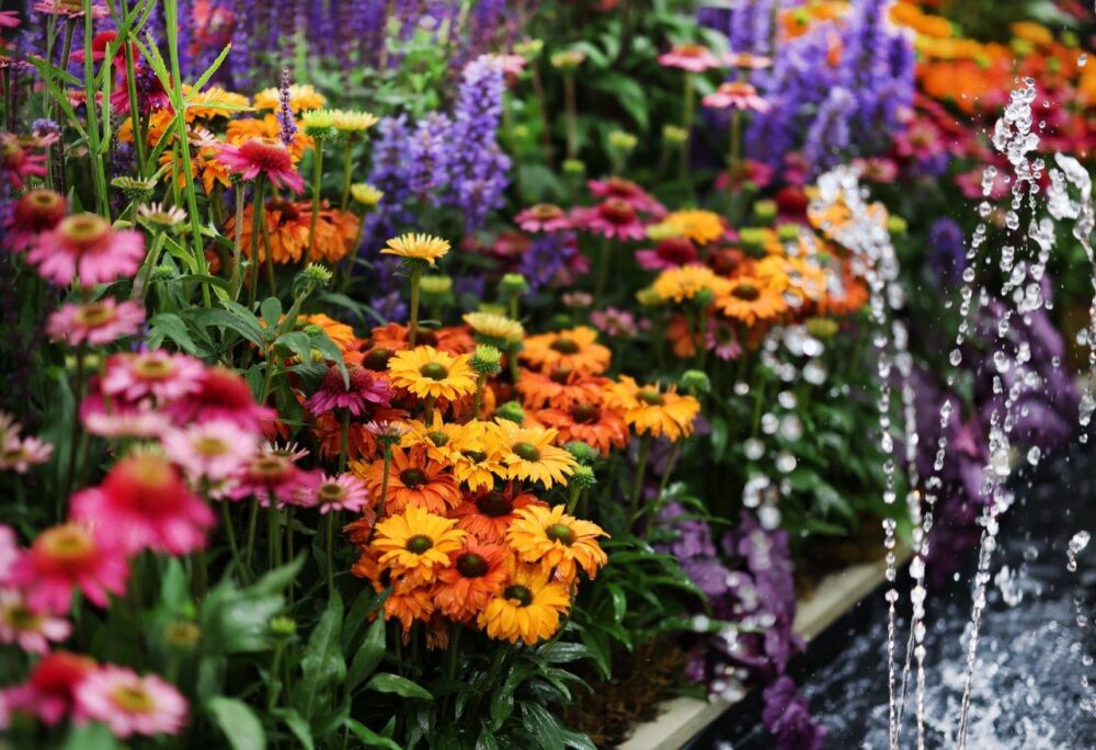 Southport Flower Show 2024. Credit: Gareth Jones Photography