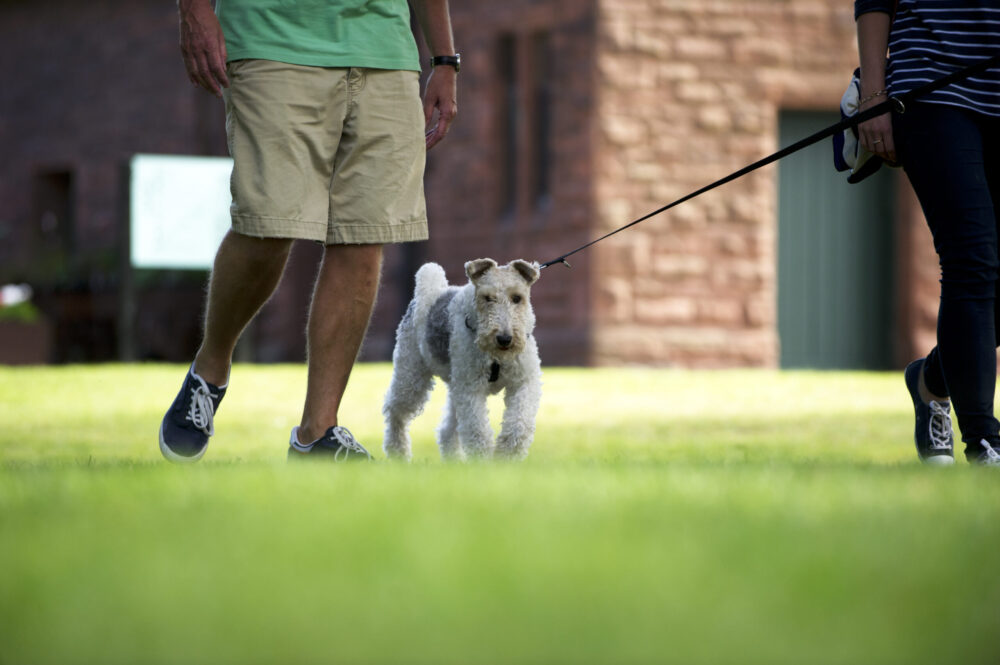 Visitors walking their dog in the grounds of Speke Hall. Image: National Trust