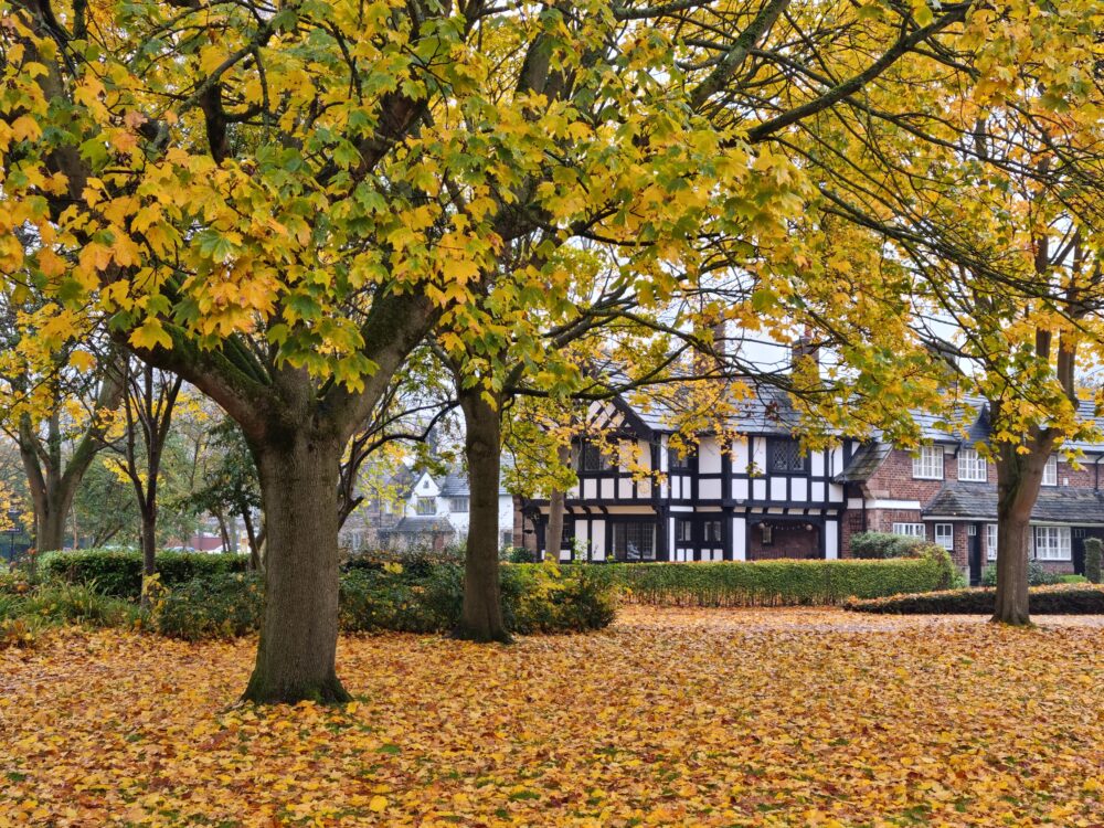 Autumn in Port Sunlight