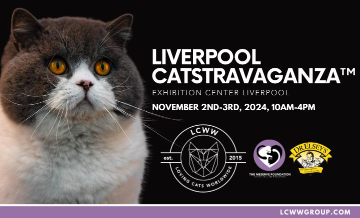 Liverpool CATstravaganza