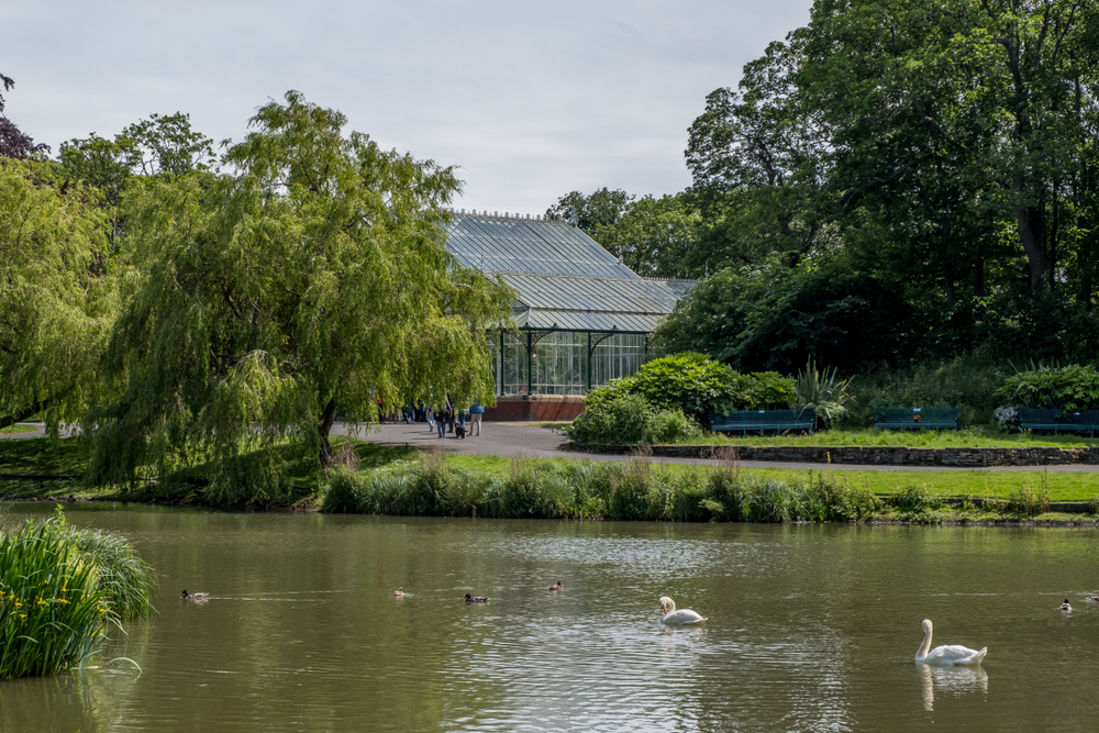 parkrun