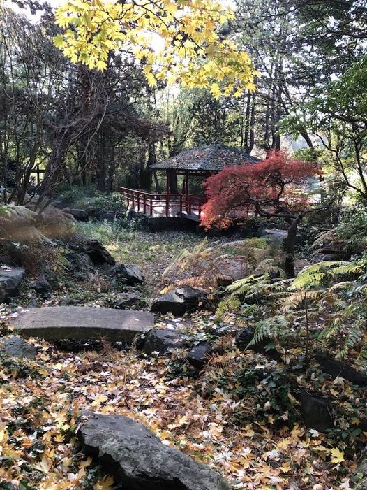 Festival Gardens