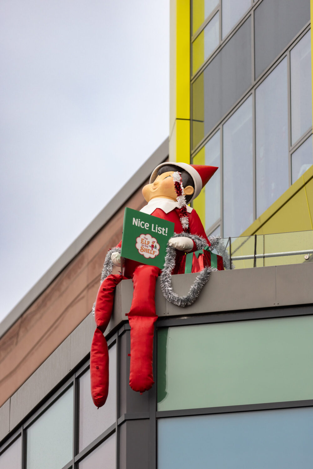 The Elf on the Shelf at Alder Hey. credit: Liverpool BID Company