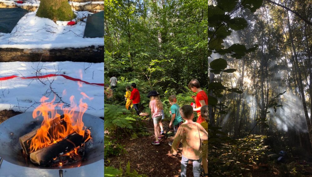 10 top tips to beat the January blues by getting back to nature