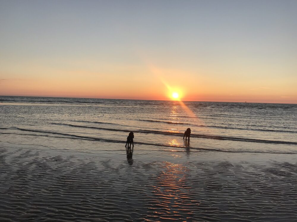 Formby Beach - The Guide Liverpool