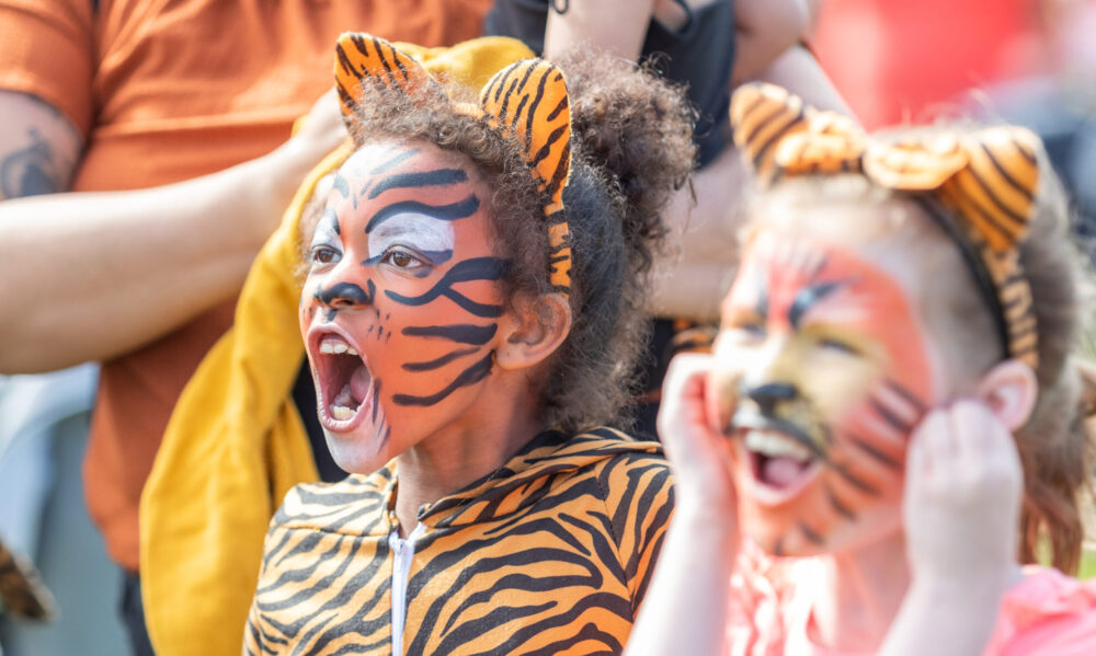 Amur Tiger Parade. Credit: Knowsley Safari