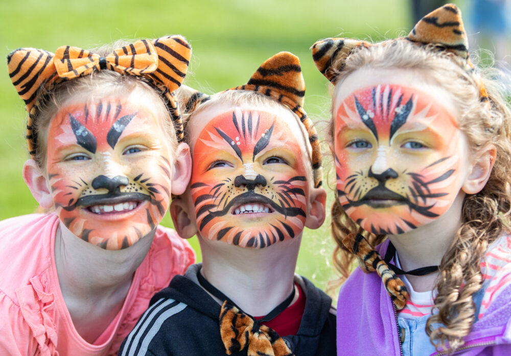 Amur Tiger Parade. Credit: Knowsley Safari