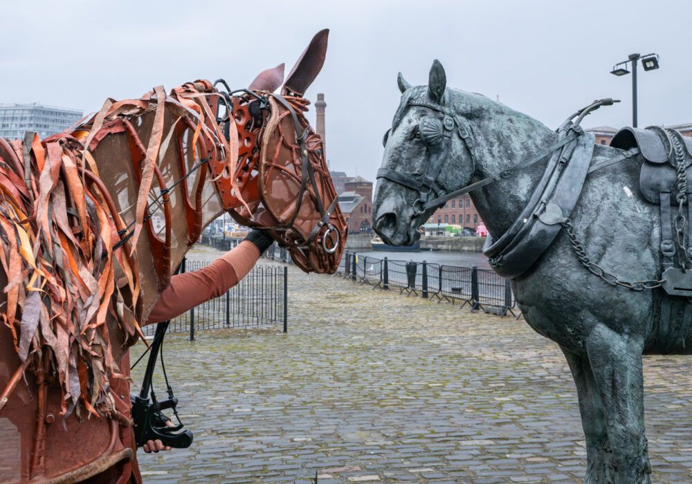 War Horse - Joey at Waiting: The Monument To The Liverpool Working Horse. Credit: Liverpool Empire