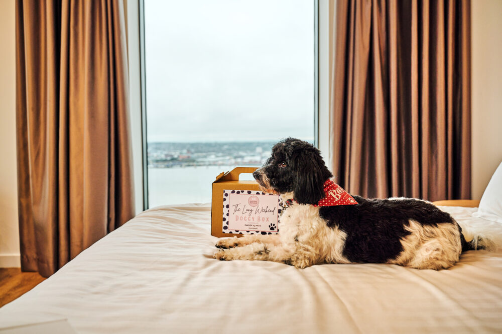 dog-friendly Liverpool hotels