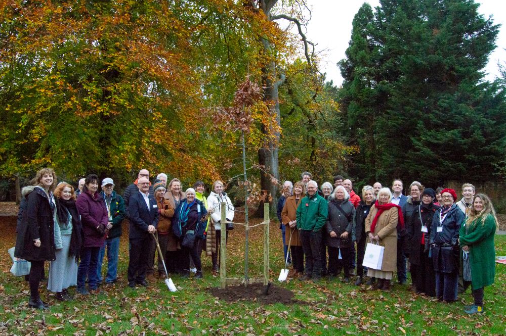 The Reader - Oaks at 80 launch in Calderstones Park, November 2024