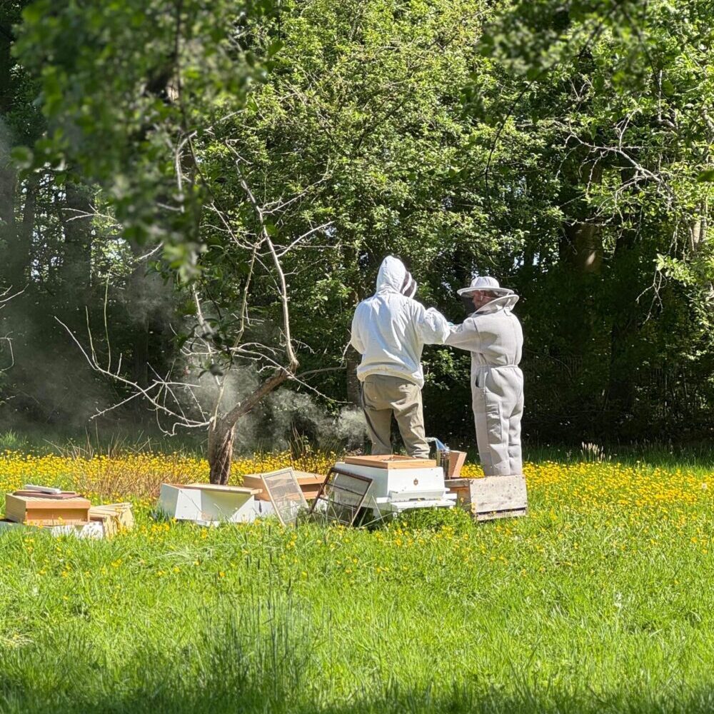 New beekeeping project to support biodiversity at Haydock Park Racecourse