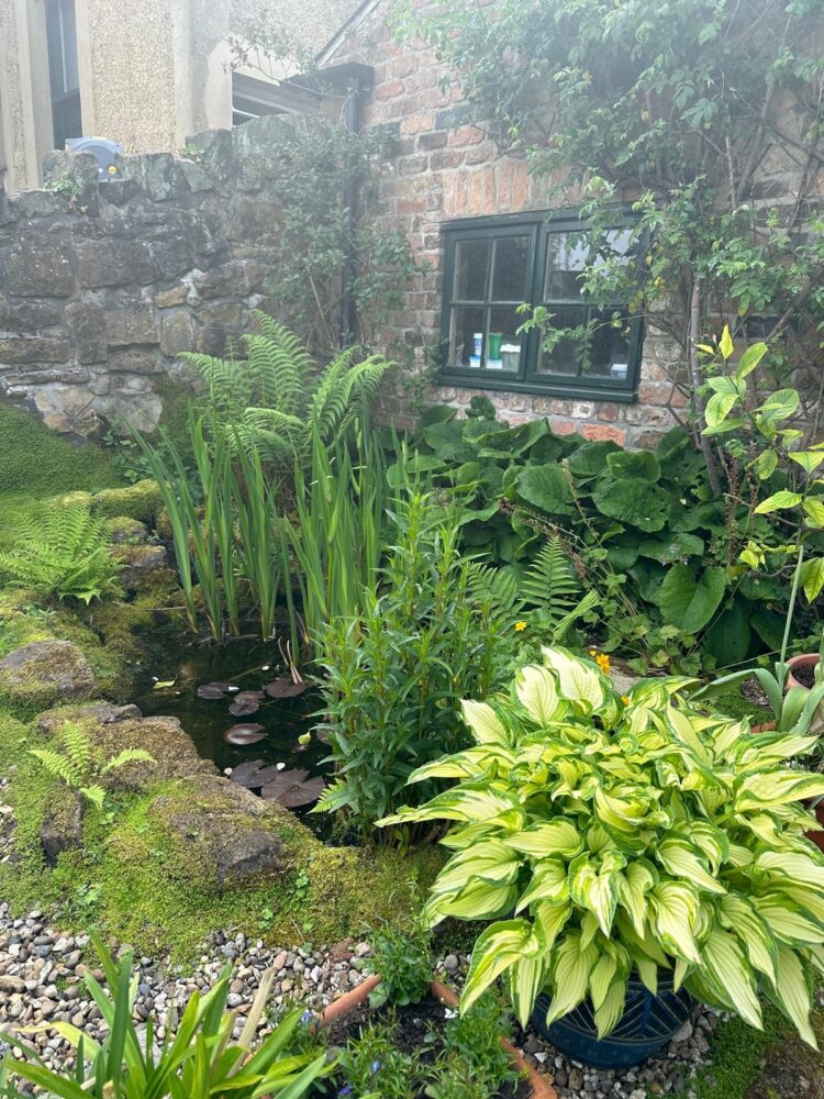 Secret Gardens of Oxton