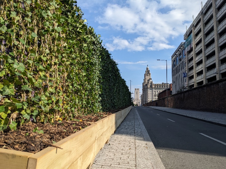 Liverpool City Council unveils sustainable green wall