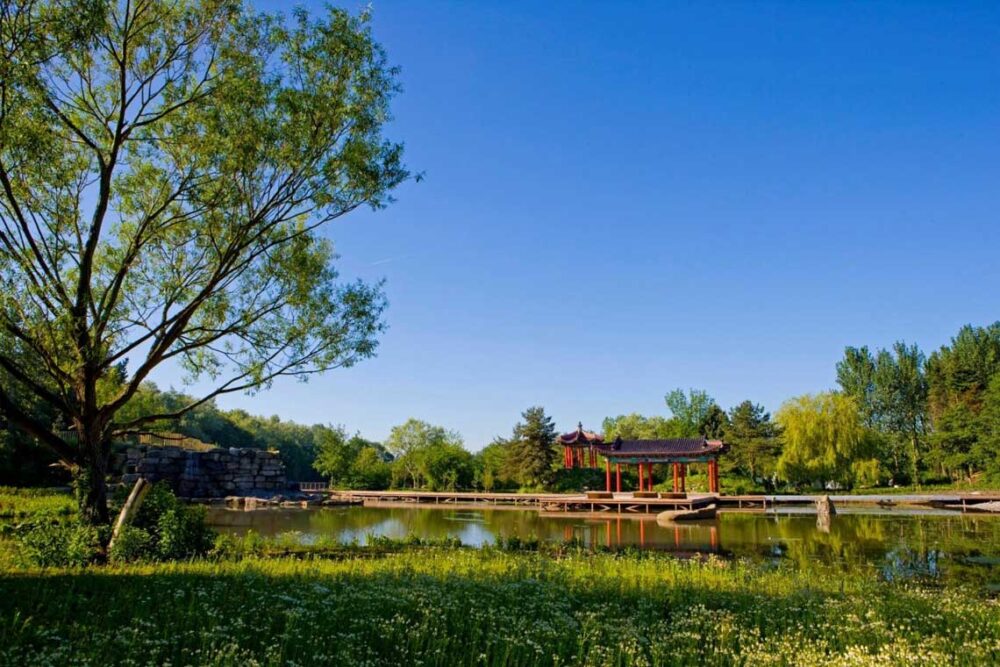 Festival Gardens