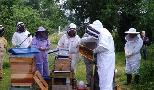 Wirral Country Park proves it’s the place to ‘bee’ with national award for pollinator-friendly spaces