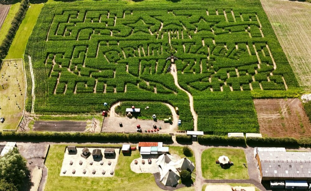 Three outdoor mazes across the region you should take on this Summer