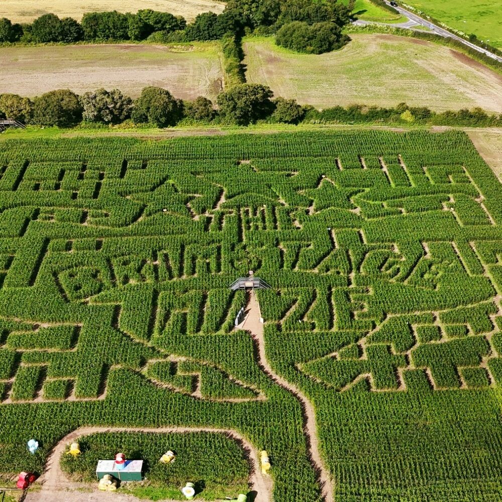 Mazes Near Me