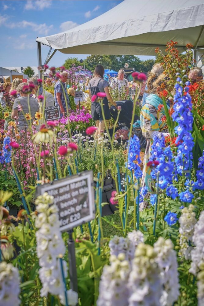 Southport Flower Show