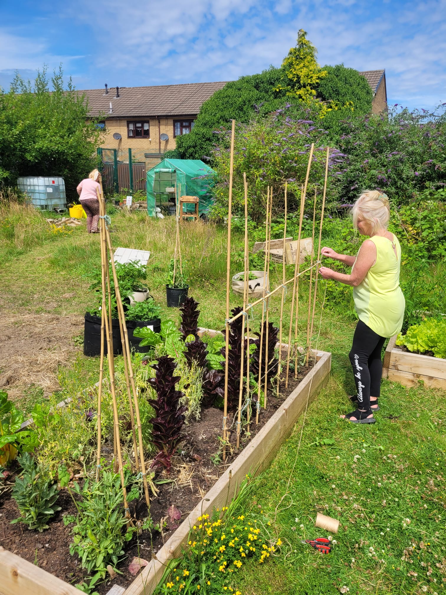 Bentinck Street Community Garden Birkenhead