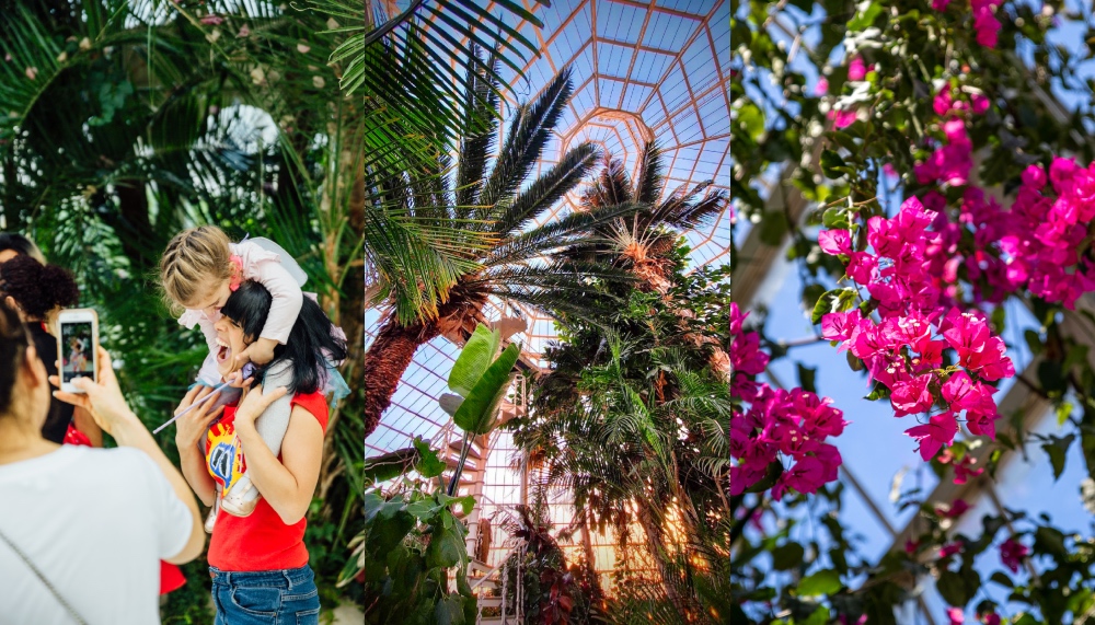 Sefton Park Palm House to host series of free events throughout the summer
