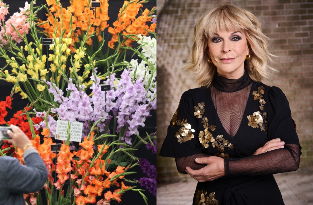 Singer, actress, and writer, Toyah Willcox is heading to Southport Flower Show