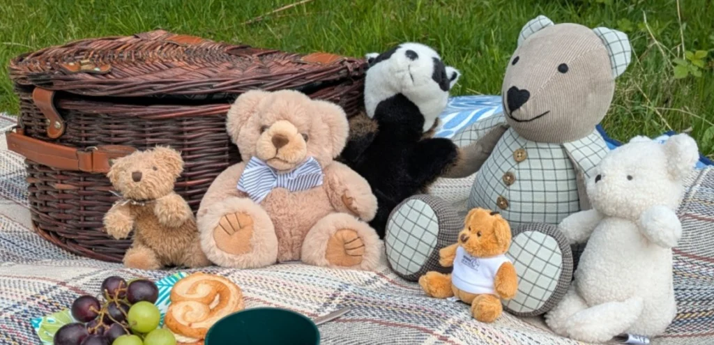 Teddy Bears Picnic - Lunt Meadows
