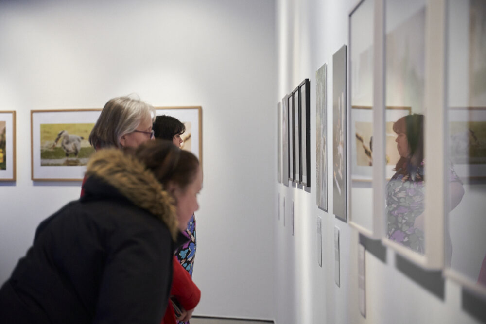 LCR23 - Exhibition Launch - Open Eye Gallery