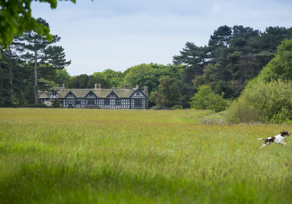 Summer of Play at Speke Hall