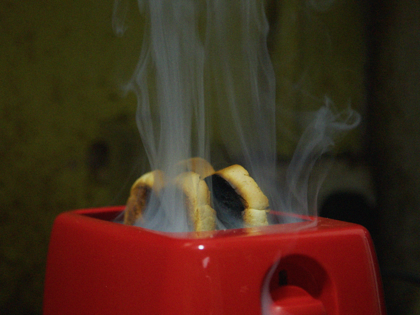 Helen Anna Flanagan, Burnt Toast (2025). Photograph, courtesy the artist.