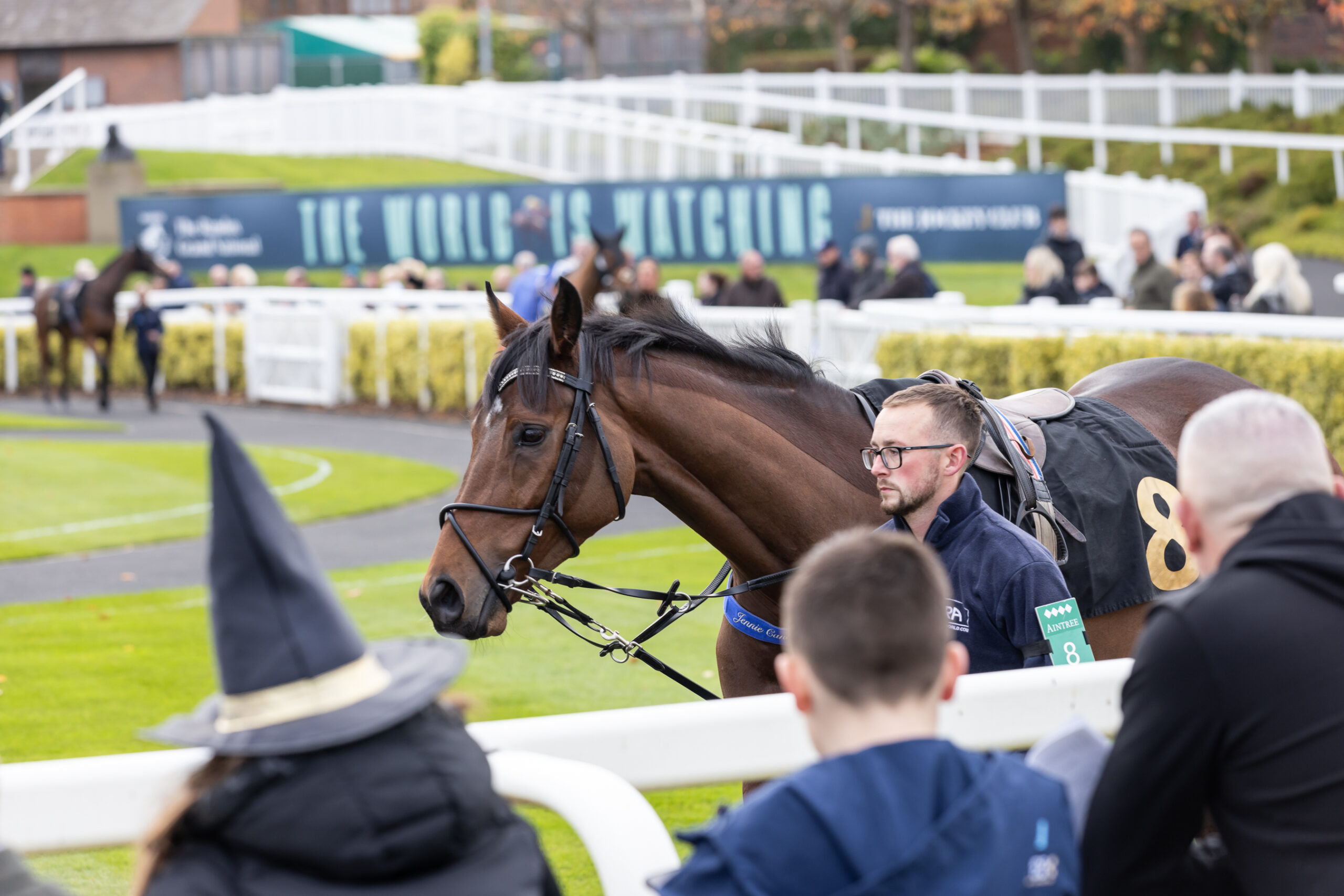 Aintree Racecourse