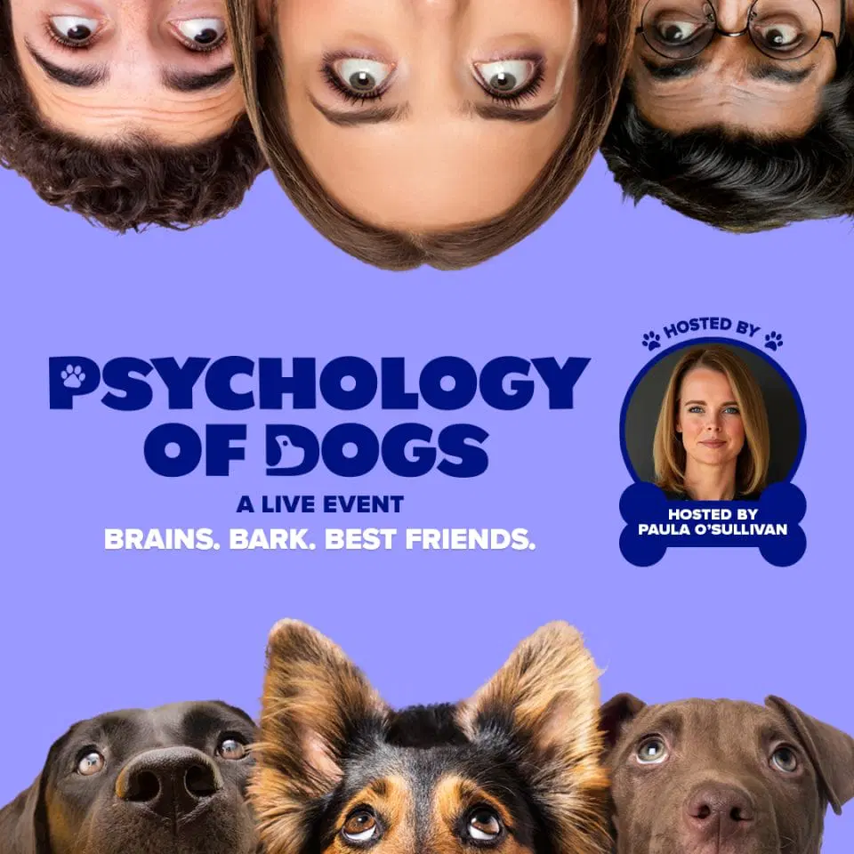 The Psychology of Dogs