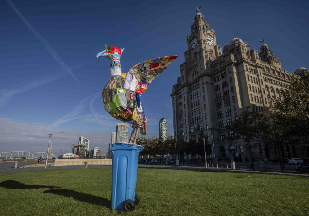 Third ‘Liver’ bird highlights the important of recycling