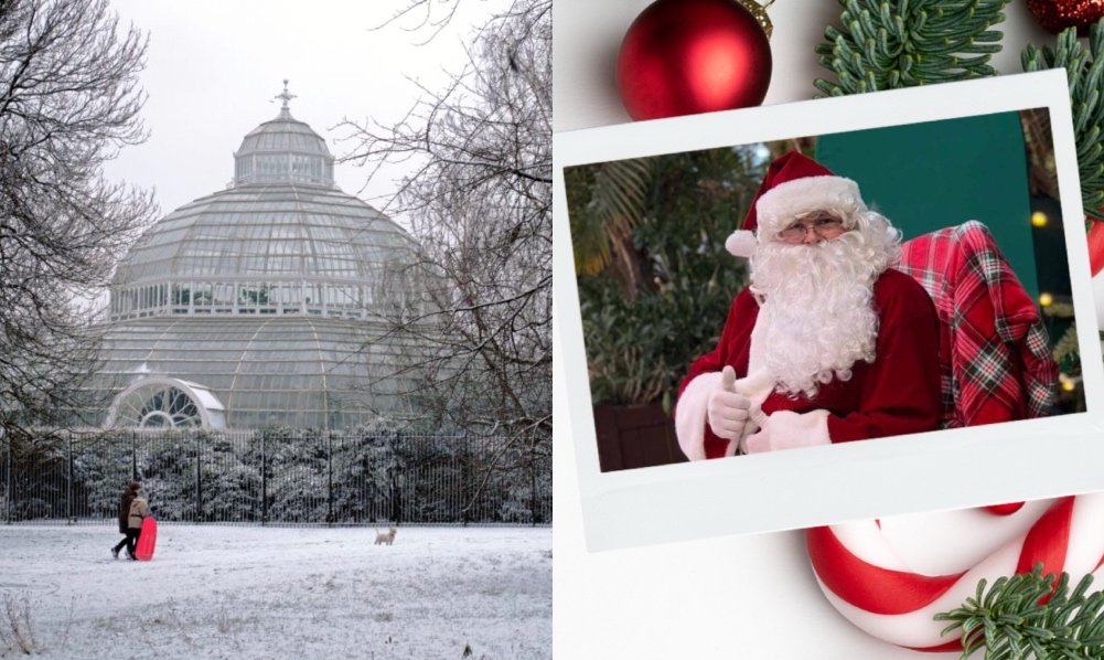 Sefton Park Palm House Santa