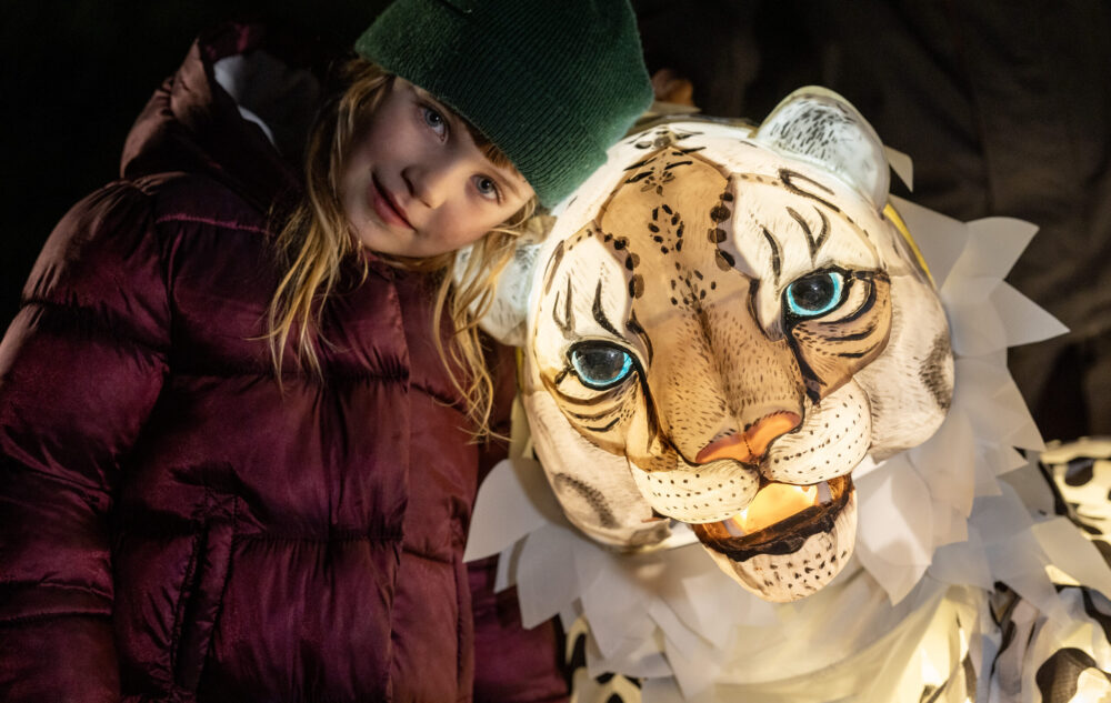 Lanterns and Lights - Chester Zoo