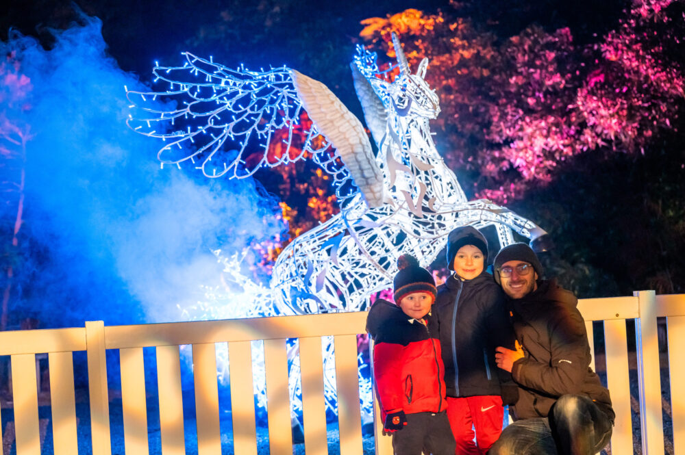 Enchanted returns to Knowsley Safari this Christmas
