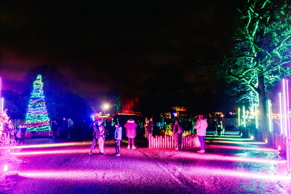 Knowsley Safari - Enchanted