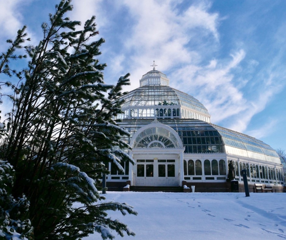 What’s on at Sefton Park Palm House this Christmas