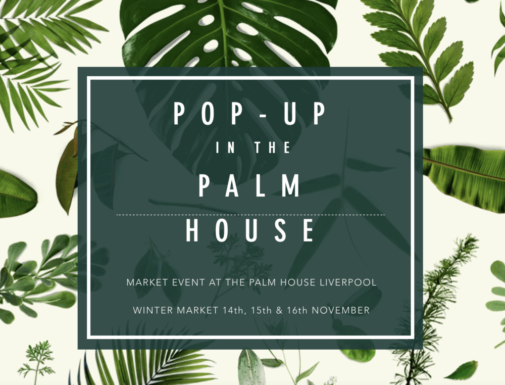 Pop-Up in the Palm House