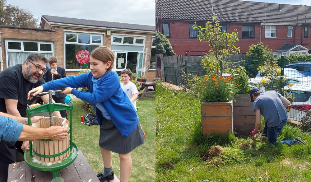 Sefton libraries where you can grow veg as well as borrow a book