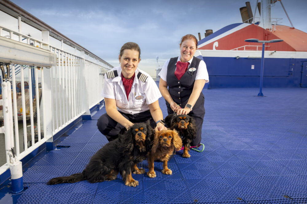Stena Line to increase number of pet friendly cabins on Liverpool routes