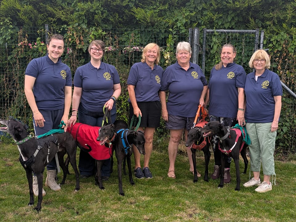 New Mersey greyhound charity gets off to a great start