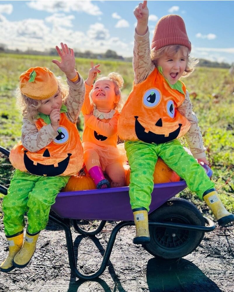 Pumpkin Picking - Windmill Animal Farm